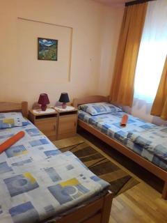 Vila Zlata - Gornja Trepča - 6