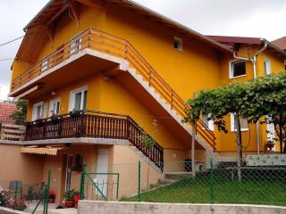 Vila Zlata - Gornja Trepča - 5