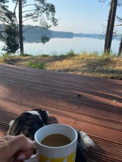 Jazinka Sunrise 2 - - 4