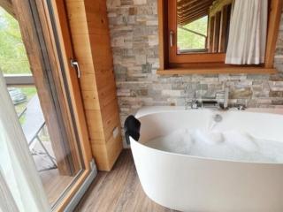 Chalet Imbosc'ché - 5 beautiful rooms in charming B&B - Livigno - 7