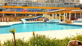Clube Praia da Rocha Pool Flat - 1