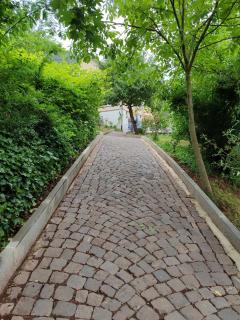 Moselina Ferienwohnungen - Sankt Aldegund - 5