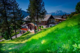 Studio loft avec sauna - Leysin - 4