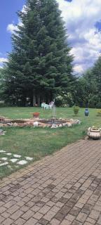 Hotel Grandinetti - Parenti - 6