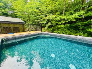 The ANIMAL - PARTY TIME - POOL SPA AND MOUNTAIN - Saint-Philémon - 7