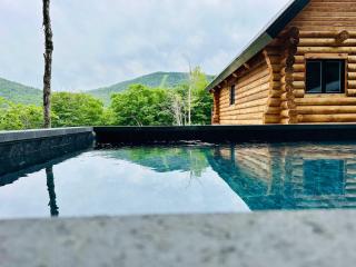 The ANIMAL - PARTY TIME - POOL SPA AND MOUNTAIN - Saint-Philémon - 9