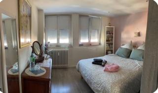Le Coeur de Colmar - Parking & Clim - Colmar - 5