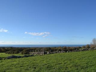 Eithinog Ganol - Llandwrog - 4