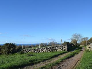Eithinog Ganol - Llandwrog - 3