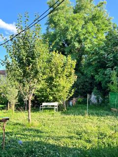 Nelis Guesthouse - - 5