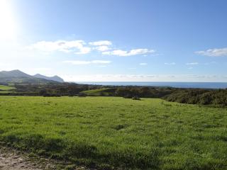 Eithinog Ganol - Llandwrog - 2