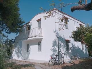 Appartamenti Luce di Puglia - 5