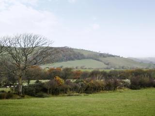 Bryncrwn Cottage - Rhyd-y-felin - 1