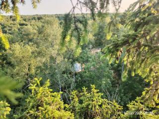 Off-grid forest glamping - - 4