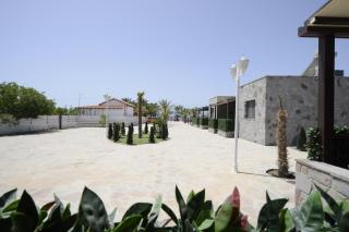 Adonis Gold Aegina - 2