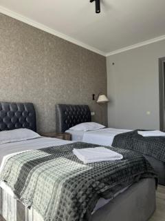 Mamuka's Guesthouse - Udabno - 5
