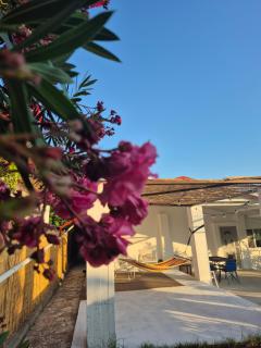 Villa Aspri - Nea Kallikratia - 9