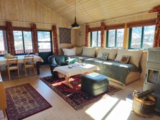 Reinunga Eco Hytta - Mountain lodge near Myrdal accessible only by train or bike - Myrdal - 7
