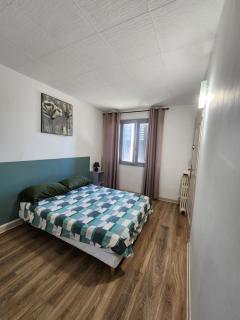 Grand appartement vue sur la Cité ! - Carcassonne - 1