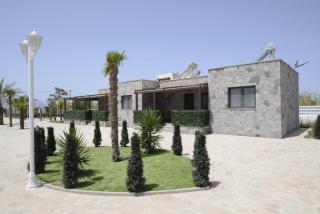 Adonis Gold Aegina - - 2