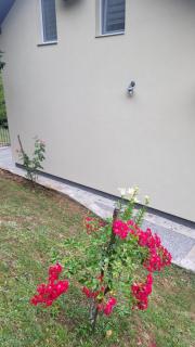 Villa Igmanski san - Sarajevo - 1