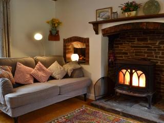 Bridge End Cottage - Cregrina - 6