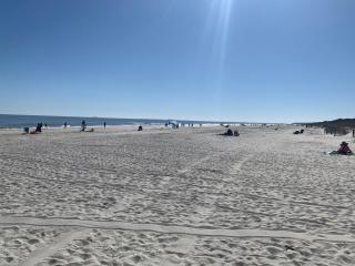 Reel Paradise-Beautiful escape! Bikes & Chairs - Hilton Head Island - 1