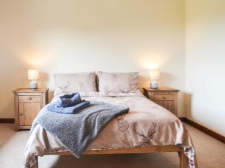 Awel Wen - Tregaron - 1
