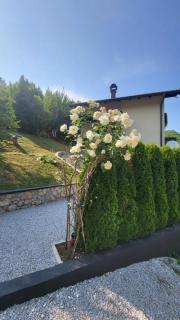 Villa Igmanski san - Sarajevo - 4