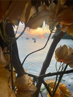 Gitadeshaies Grande Anse - Deshaies - 5
