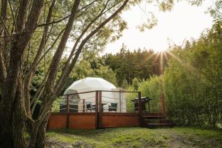 Glamping Lužec - Nejdek - 2