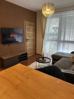 Modern 2-bedroom apartment with balcony - 0