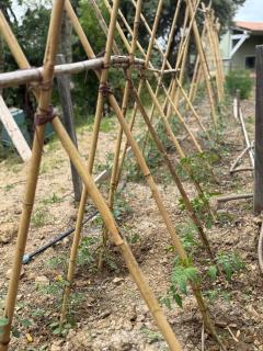 Le Piane Agriglamping - 8