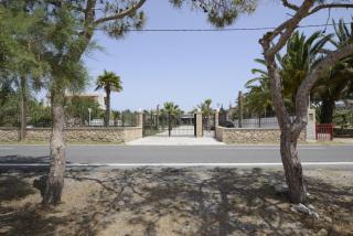 Adonis Gold Aegina - - 8