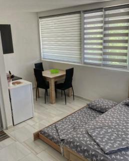 Apartmani Stanojević Čanj - Čanj - 6