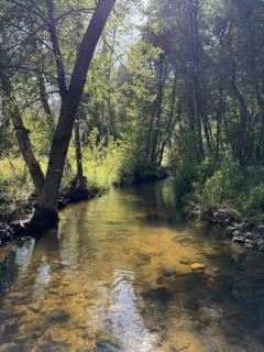 Peppermint Falls Ranch - 3