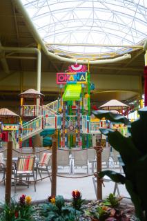 OKANA Resort and Indoor Waterpark - Oklahoma City - 4