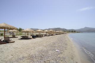 Adonis Gold Aegina - - 9