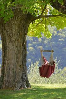 Luxury Villa Retreat in Città della Pieve, Umbria - Piegaro - 5