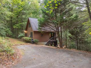Blue Ridge Cabin Near Downtown Fire Pit and Hot Tub - Blue Ridge - 8