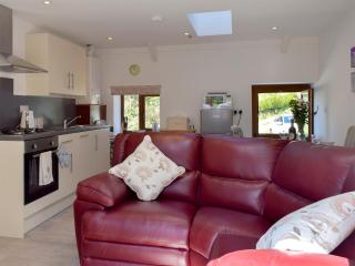 Hen Llaeth - Uk11209 - Cwrt-newydd - 7