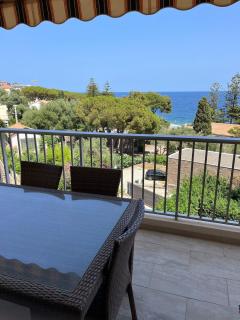 Appartement charmant vue mer - climatisé - Palagaccio - 3