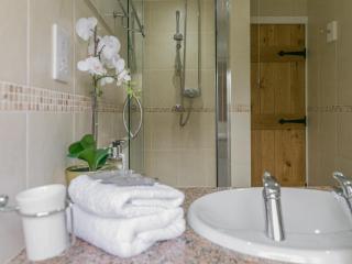 Teal - Llangennith - 5