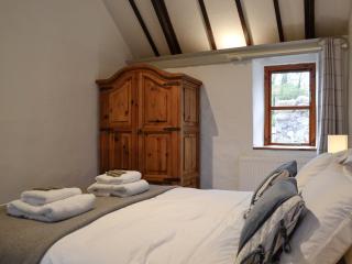 Teal - Llangennith - 7