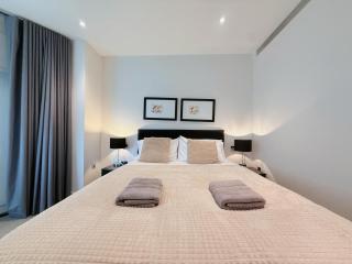 Luxurious and spacious apartment near US Embassy - Londra - 6