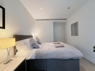 Luxurious and spacious apartment near US Embassy - Londra - 5