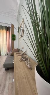 Talìa Home - 7