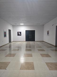 Armenakapartment 3 bedroom Amiryan - Yerevan - 9