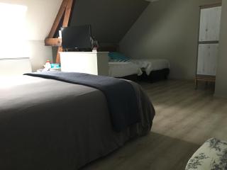 B&B Haras de la Cour Fleury - Saint-Michel-de-Livet - 9