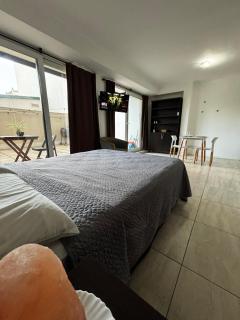 Luminoso Loft con patio privado y parrilla, acepta mascotas - Buenos Aires - 1